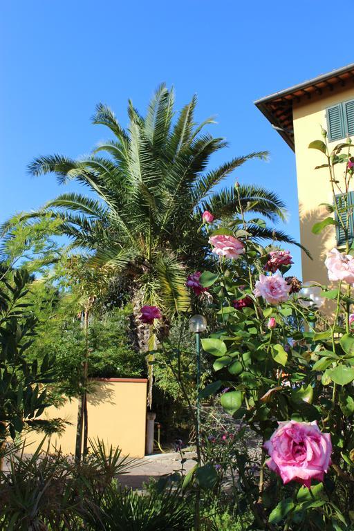 Albergo La Pieve Castelfiorentino Dış mekan fotoğraf