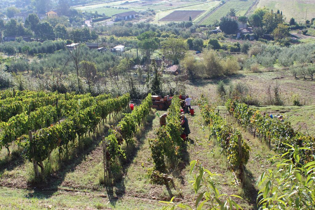 Albergo La Pieve Castelfiorentino Dış mekan fotoğraf