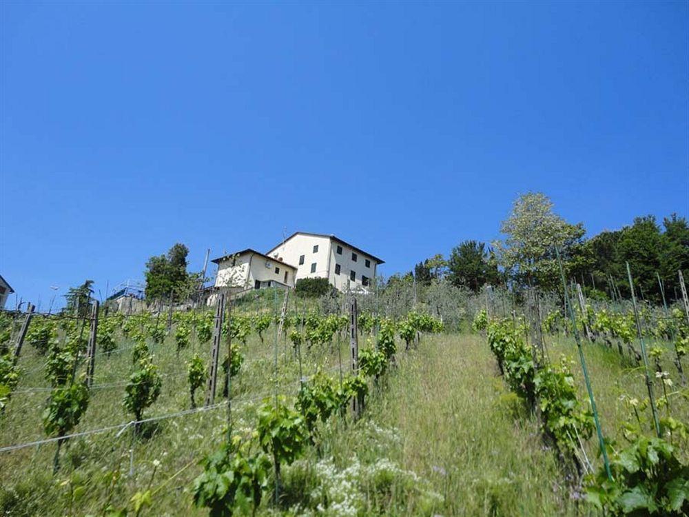 Albergo La Pieve Castelfiorentino Dış mekan fotoğraf