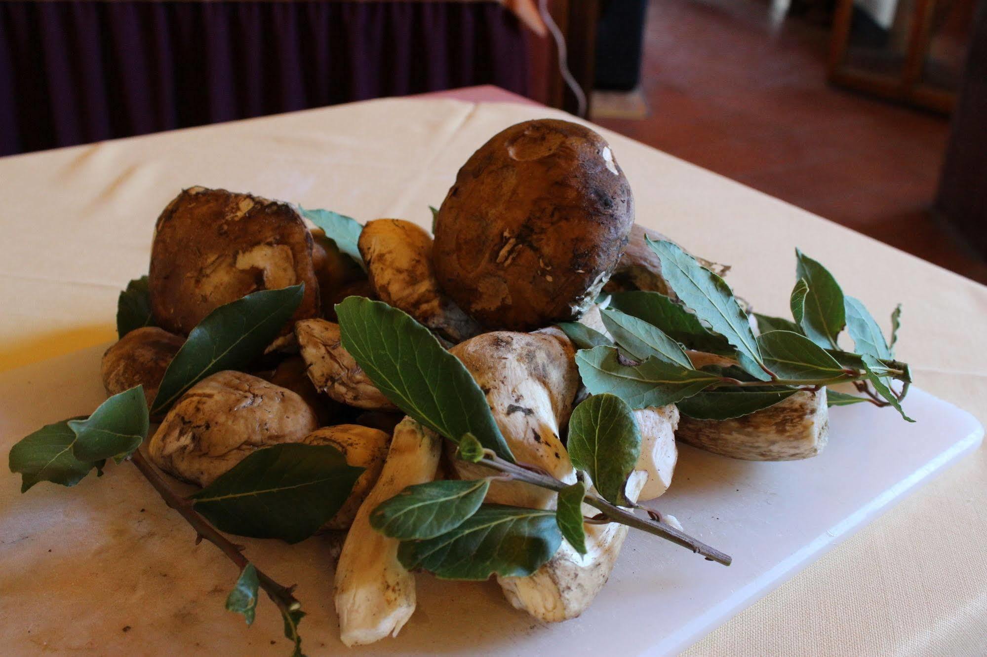 Albergo La Pieve Castelfiorentino Dış mekan fotoğraf